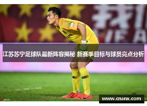 江苏苏宁足球队最新阵容揭秘 新赛季目标与球员亮点分析