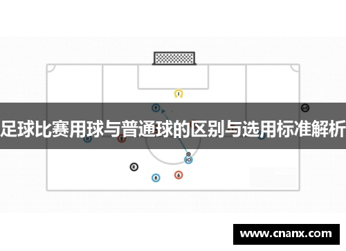 足球比赛用球与普通球的区别与选用标准解析