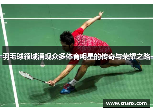 羽毛球领域涌现众多体育明星的传奇与荣耀之路